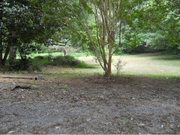 7810 Lebanon Road Mebane, NC 27302 - Photo 15 of 16 Back Yard