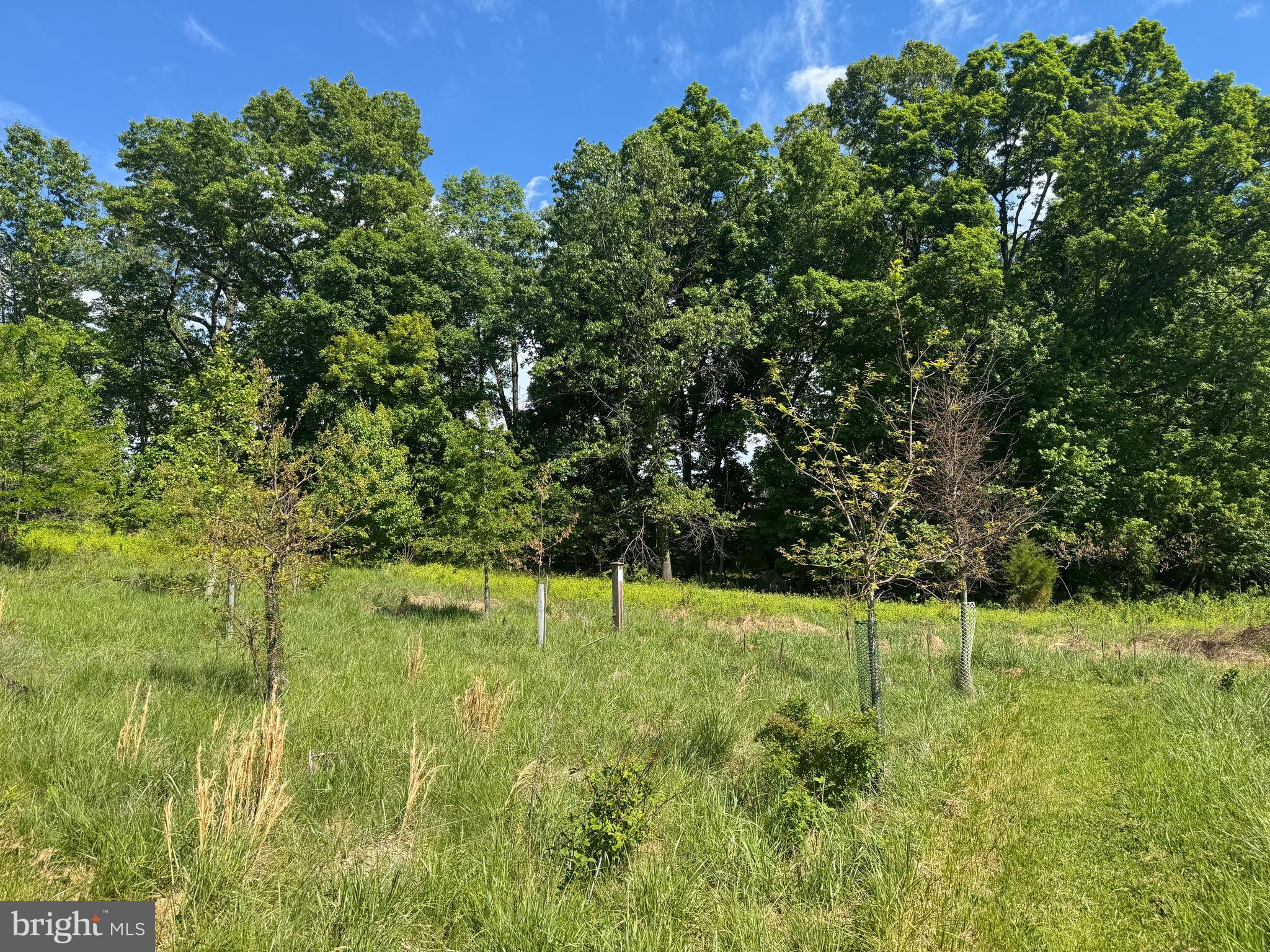 15491 Barnesville Road Boyds, MD 20841 - Photo 12 of 18 a backyard of a house with lots of green space and chair