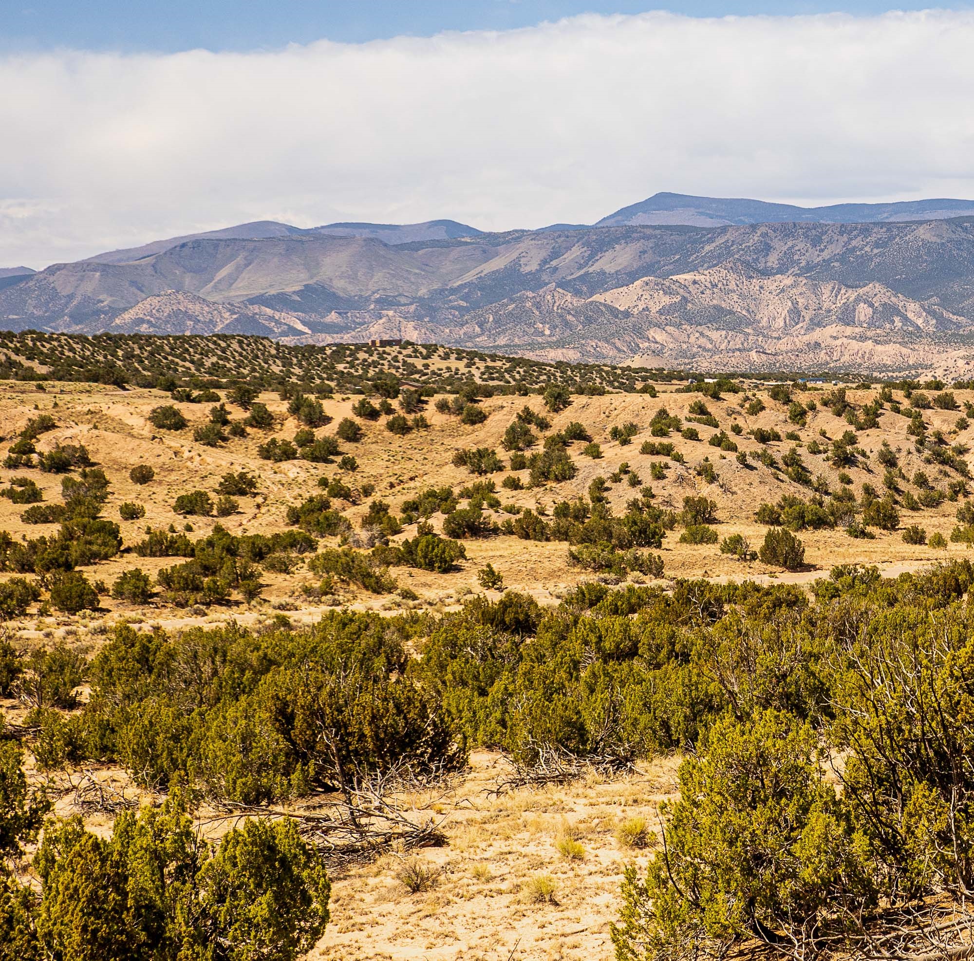 0 El Rito Estates Abiquiu, NM 87510 - Photo 37 of 56
