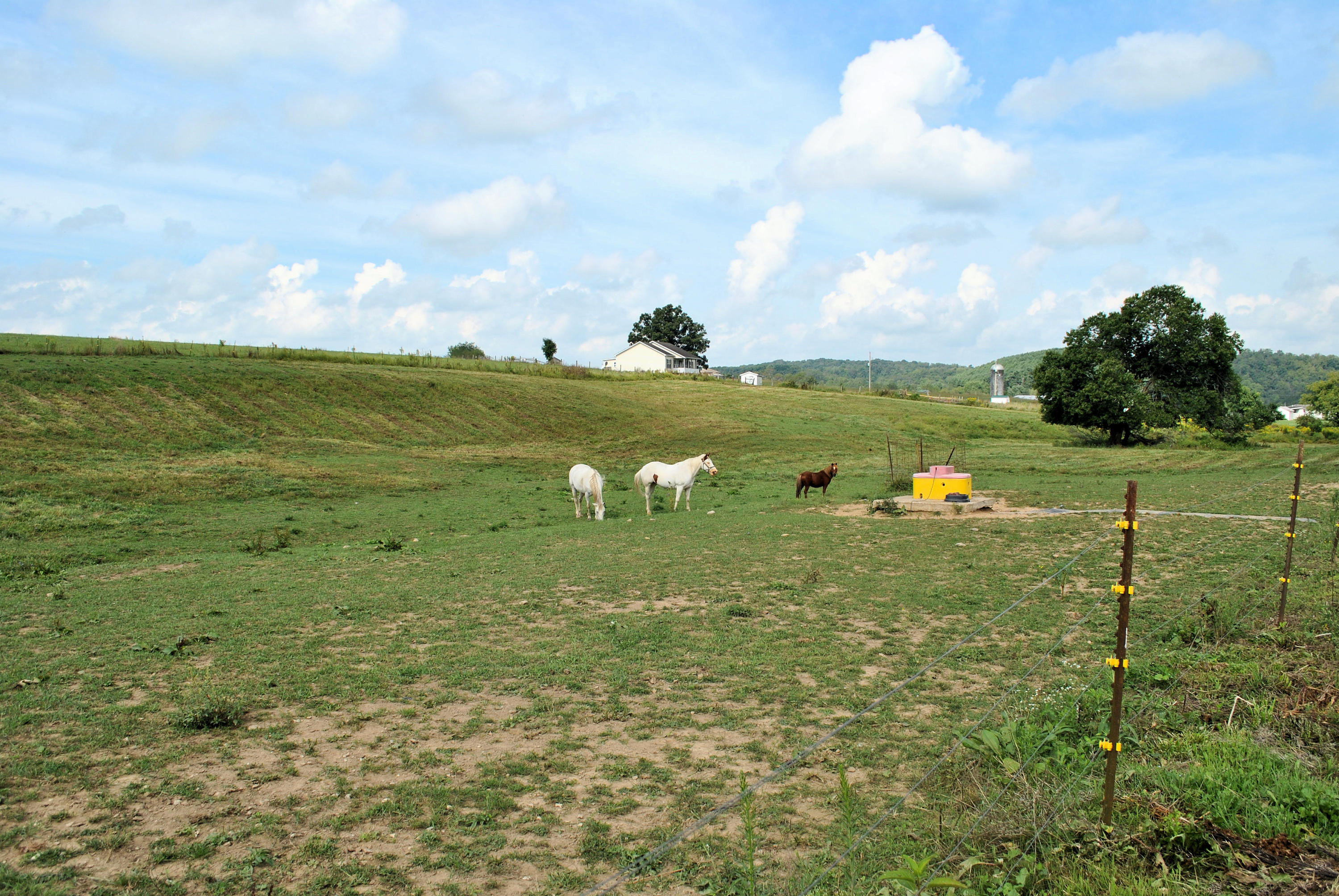 679 Union Valley Road Riner, VA 24149 - Photo 59 of 69 a view of a lake from a yard
