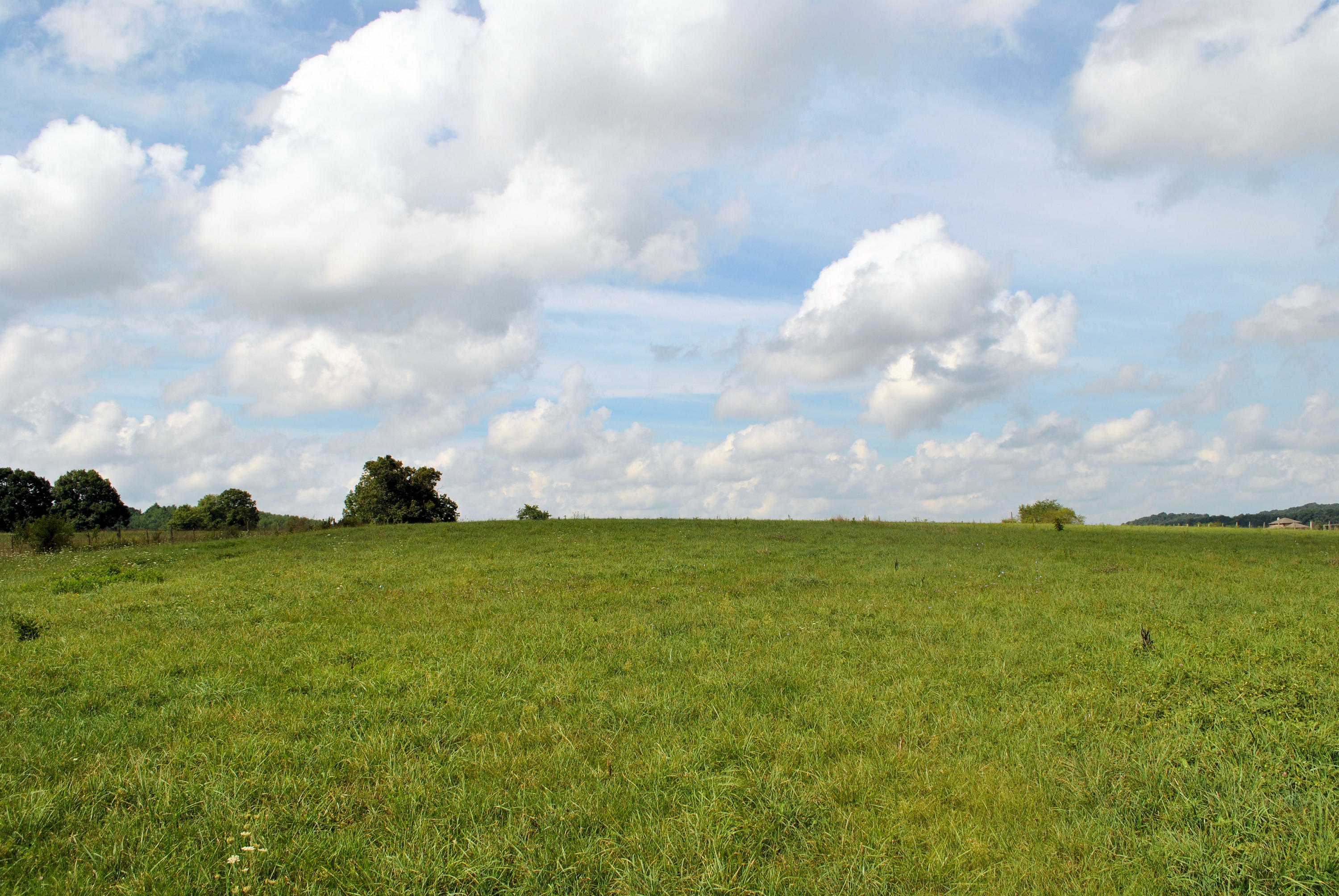 679 Union Valley Road Riner, VA 24149 - Photo 65 of 69 Hay Field
