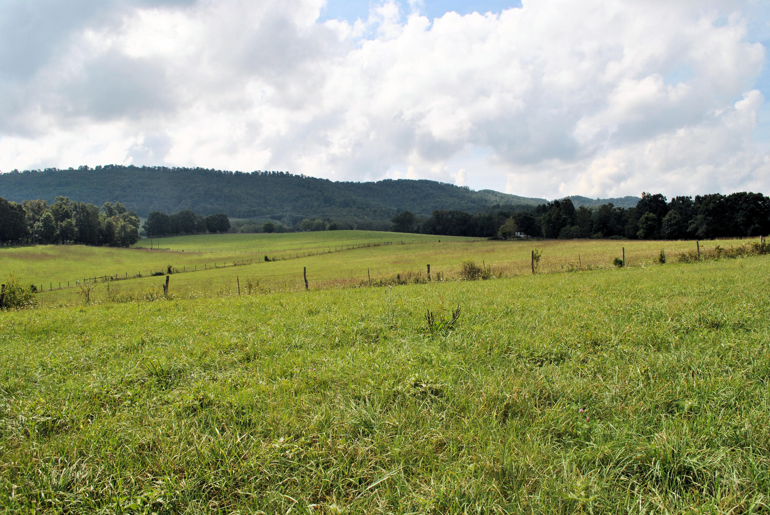 679 Union Valley Road Riner, VA 24149 - Photo 66 of 69 a view of an ocean from a yard