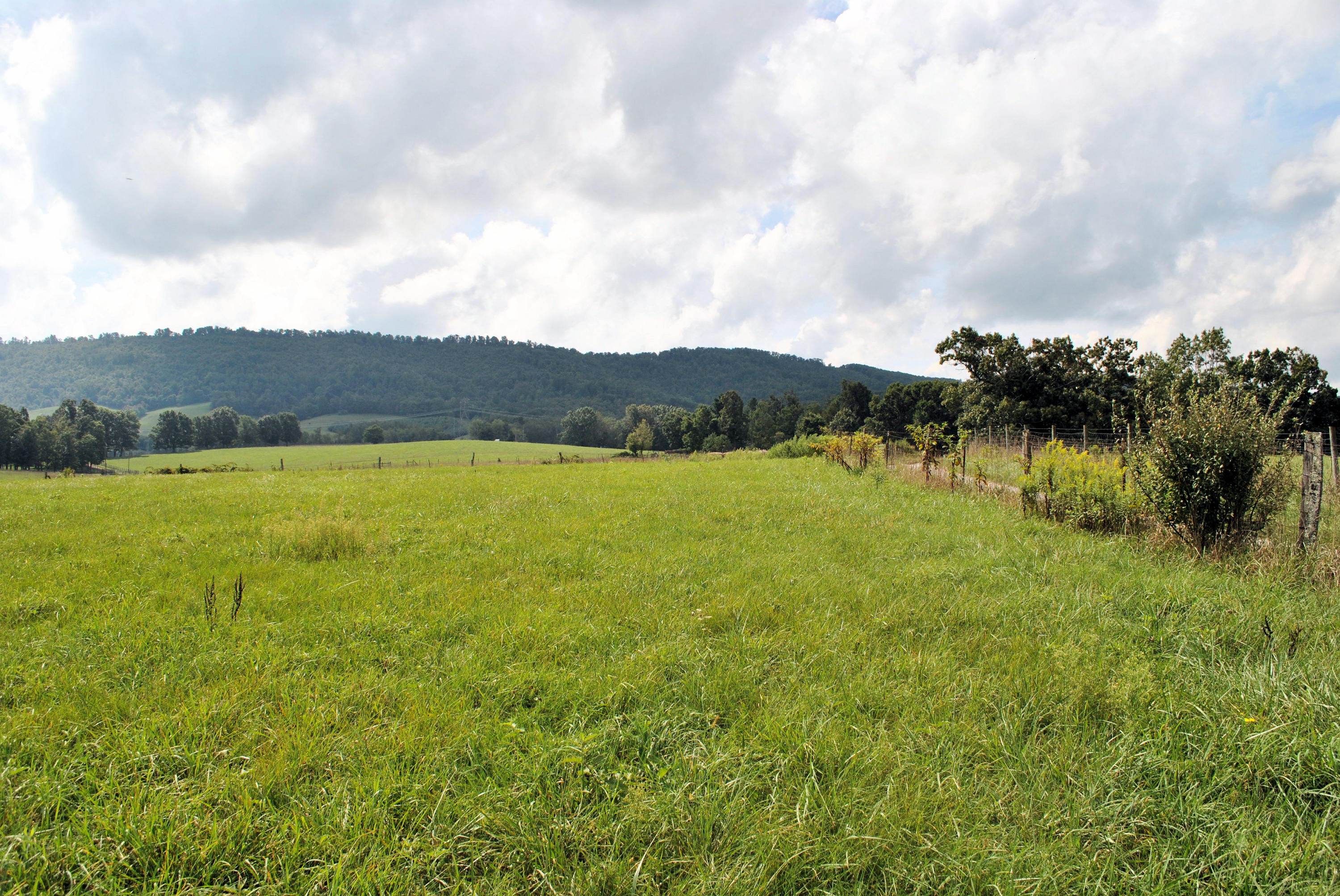 679 Union Valley Road Riner, VA 24149 - Photo 67 of 69 a view of a lake with mountain in the back