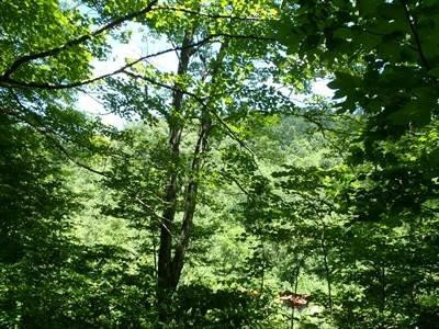 100 Edwards Road Stanton, KY 40380 - Photo 19 of 22 Photo 19