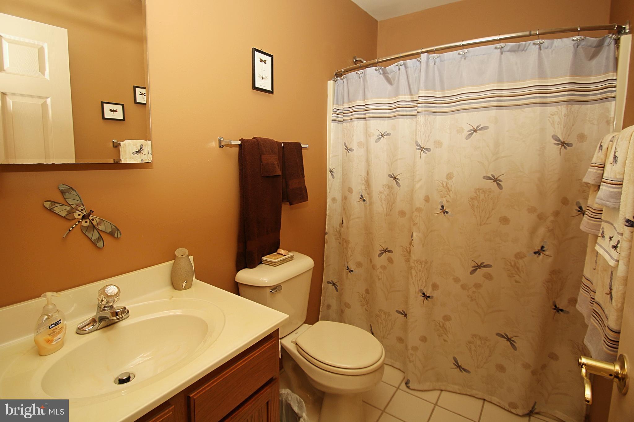 164 Hardt Hill Road Bechtelsville, PA 19505 - Photo 17 of 46 Bathroom
