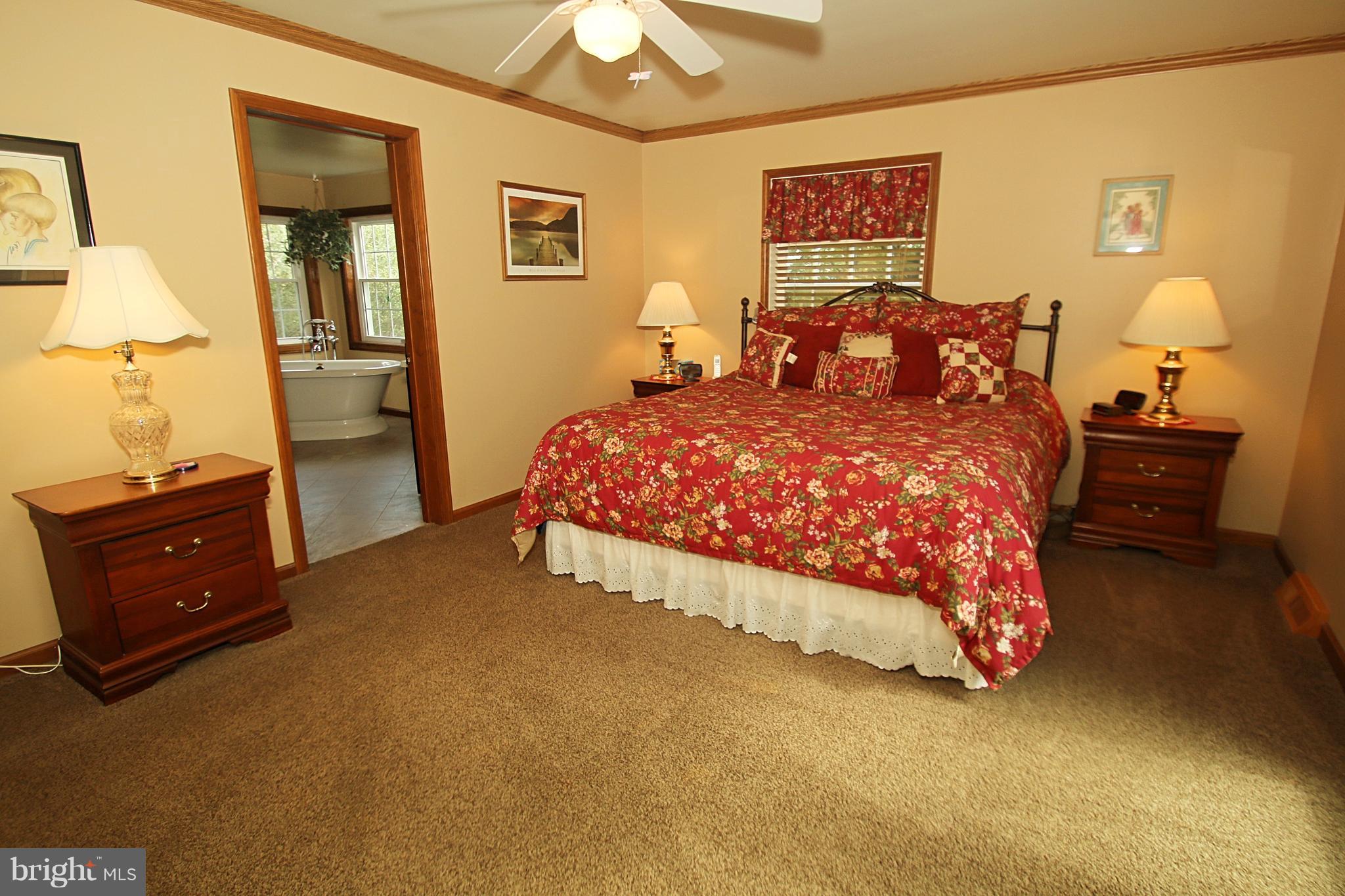 164 Hardt Hill Road Bechtelsville, PA 19505 - Photo 18 of 46 Master Bedroom