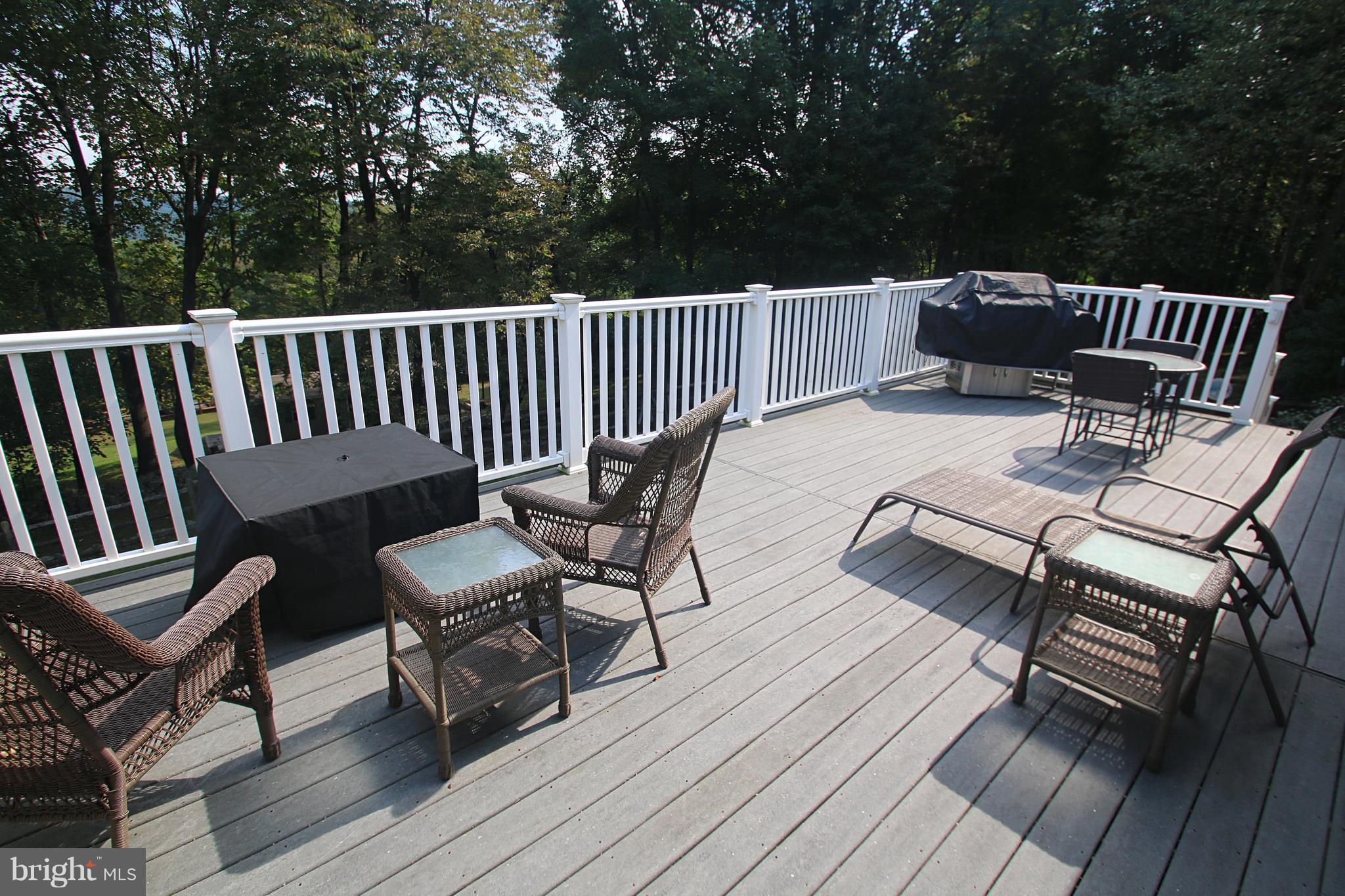 164 Hardt Hill Road Bechtelsville, PA 19505 - Photo 22 of 46 Deck