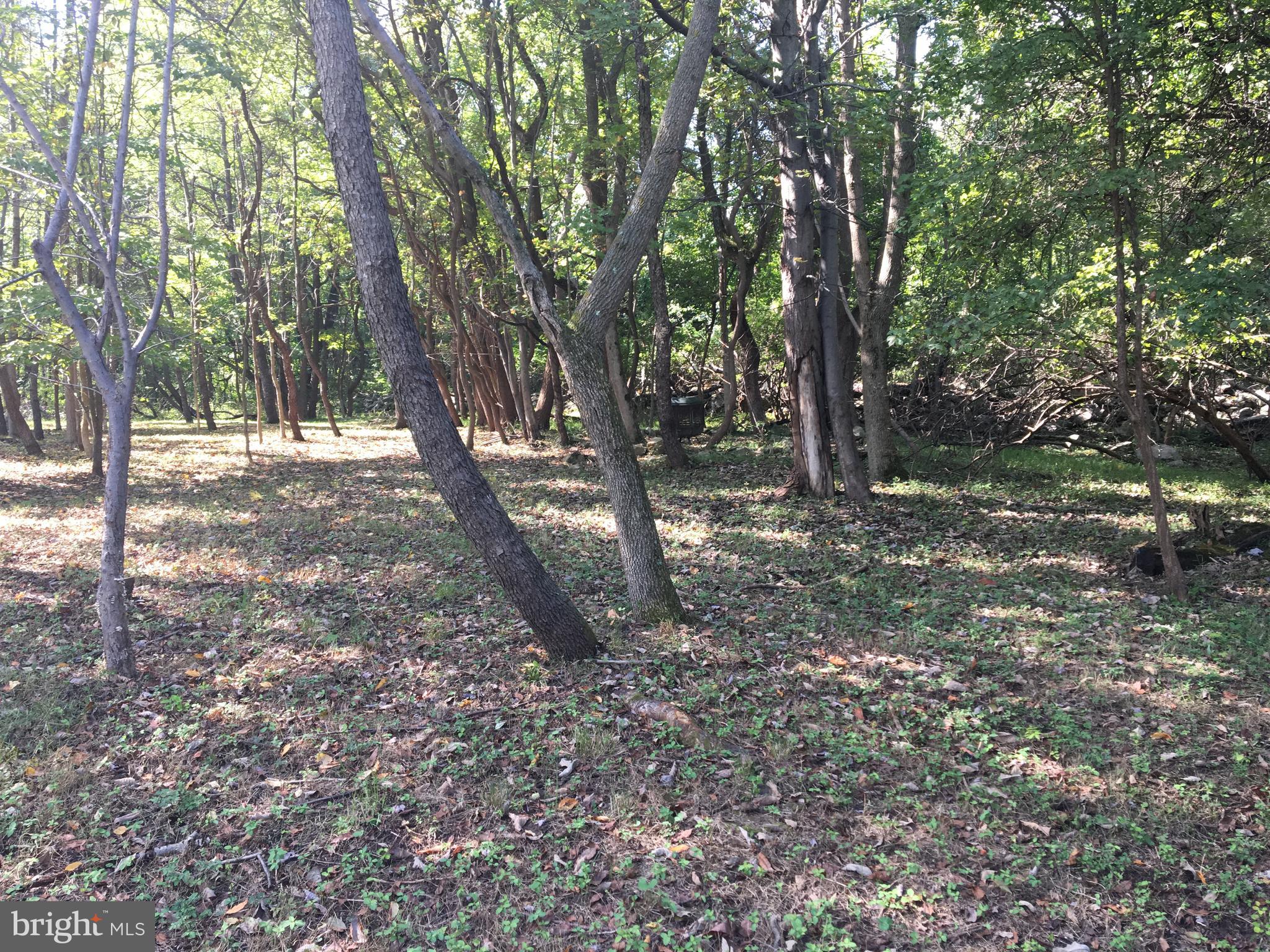164 Hardt Hill Road Bechtelsville, PA 19505 - Photo 45 of 46