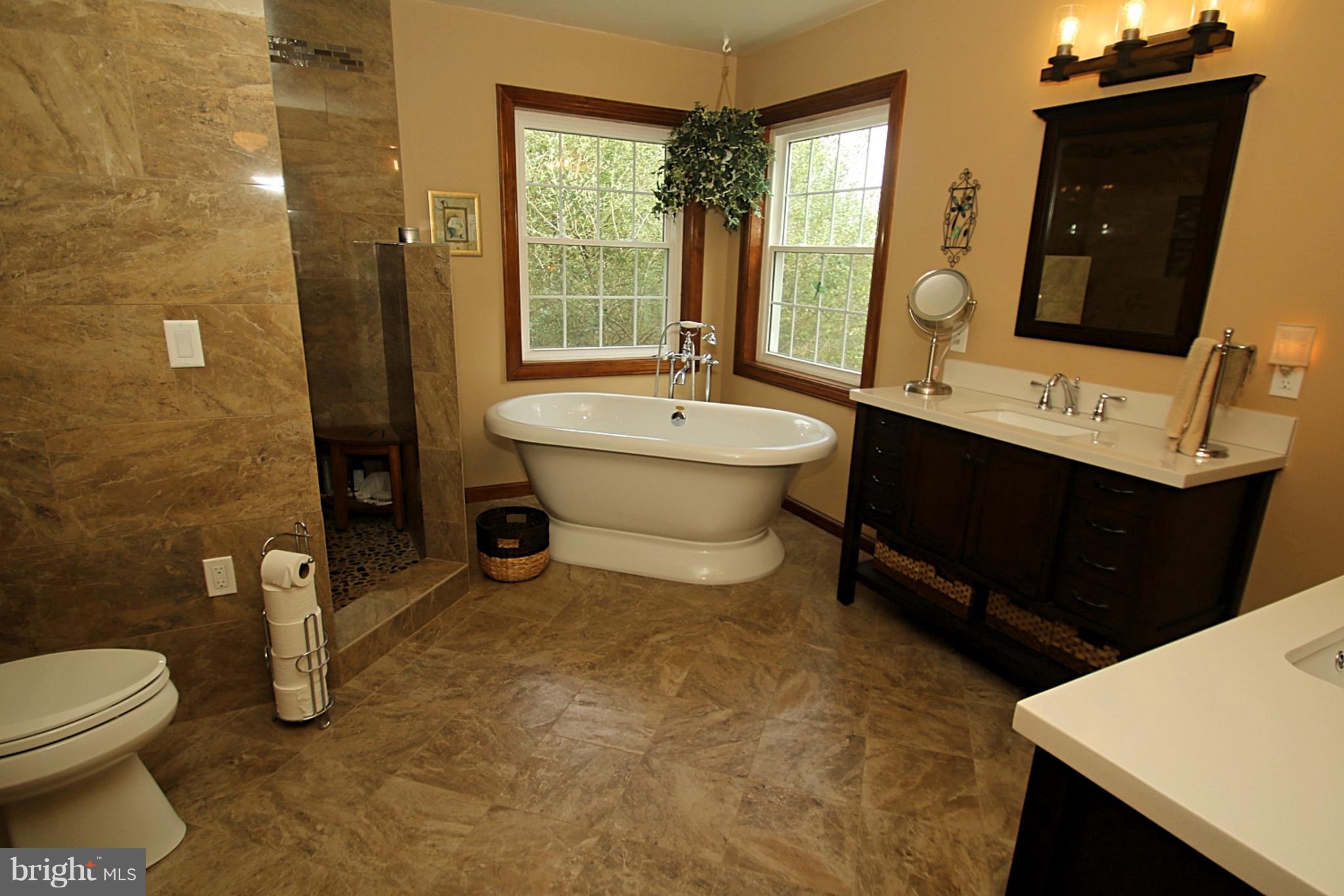 164 Hardt Hill Road Bechtelsville, PA 19505 - Photo 7 of 46 Master Bathroom with views