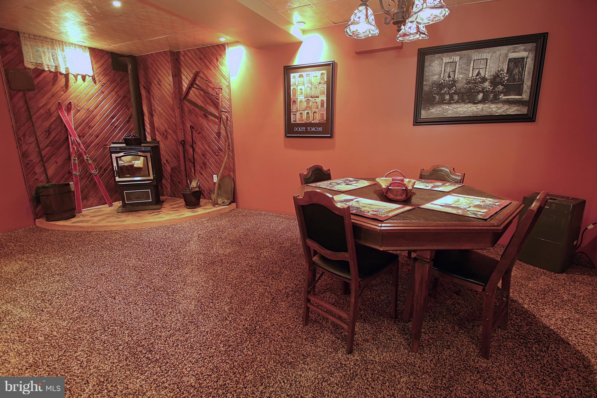 164 Hardt Hill Road Bechtelsville, PA 19505 - Photo 10 of 46 Basement / Pellet Stove
