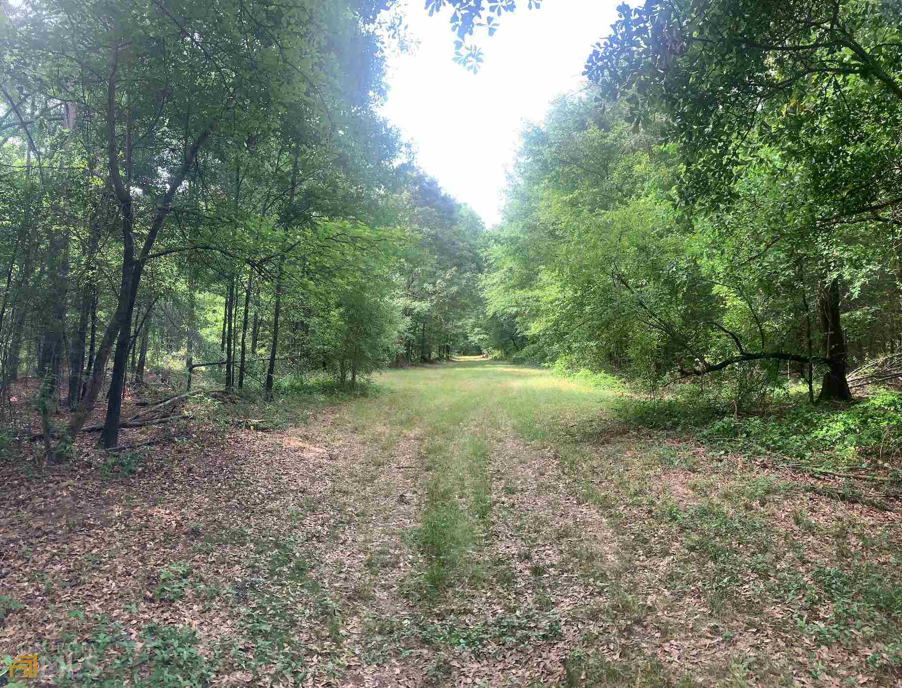 1110 Lackey Road, Unit 17 7 ACRES Statham, GA 30666 - Photo 1 of 1 a view of outdoor space and green space