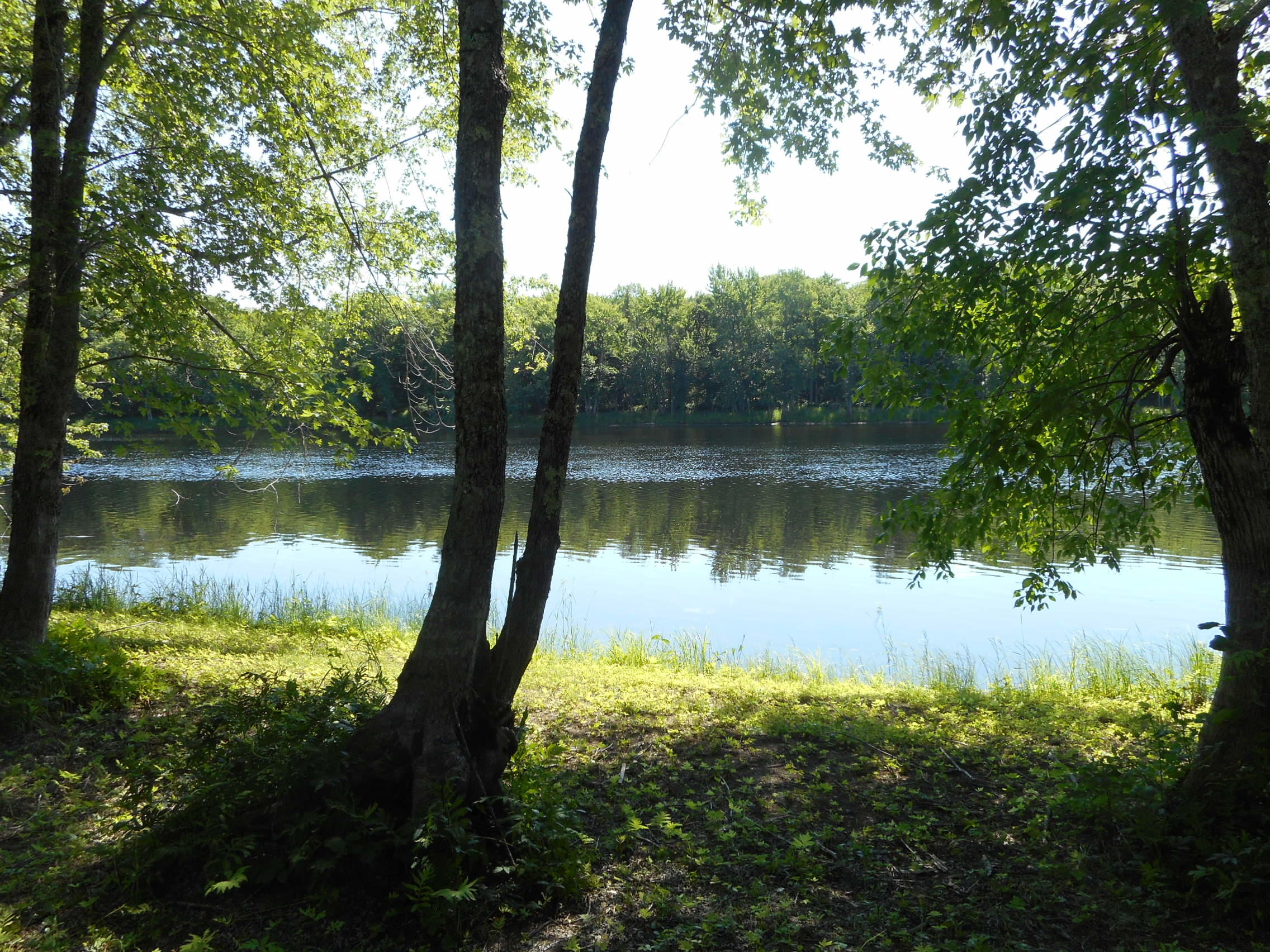 116 Rte Mattamiscontis Twp Me 04457 Route Lincoln, ME 04457 - Photo 1 of 11 DSCN2519
