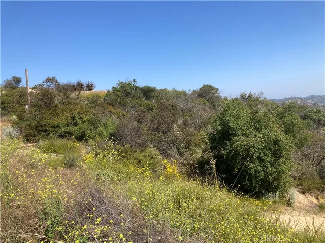 a view of a bunch of trees in a field