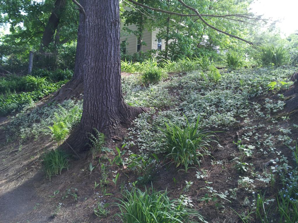 173 Lake Road Newport, VT 05855 - Photo 11 of 40 Gallery Image 11