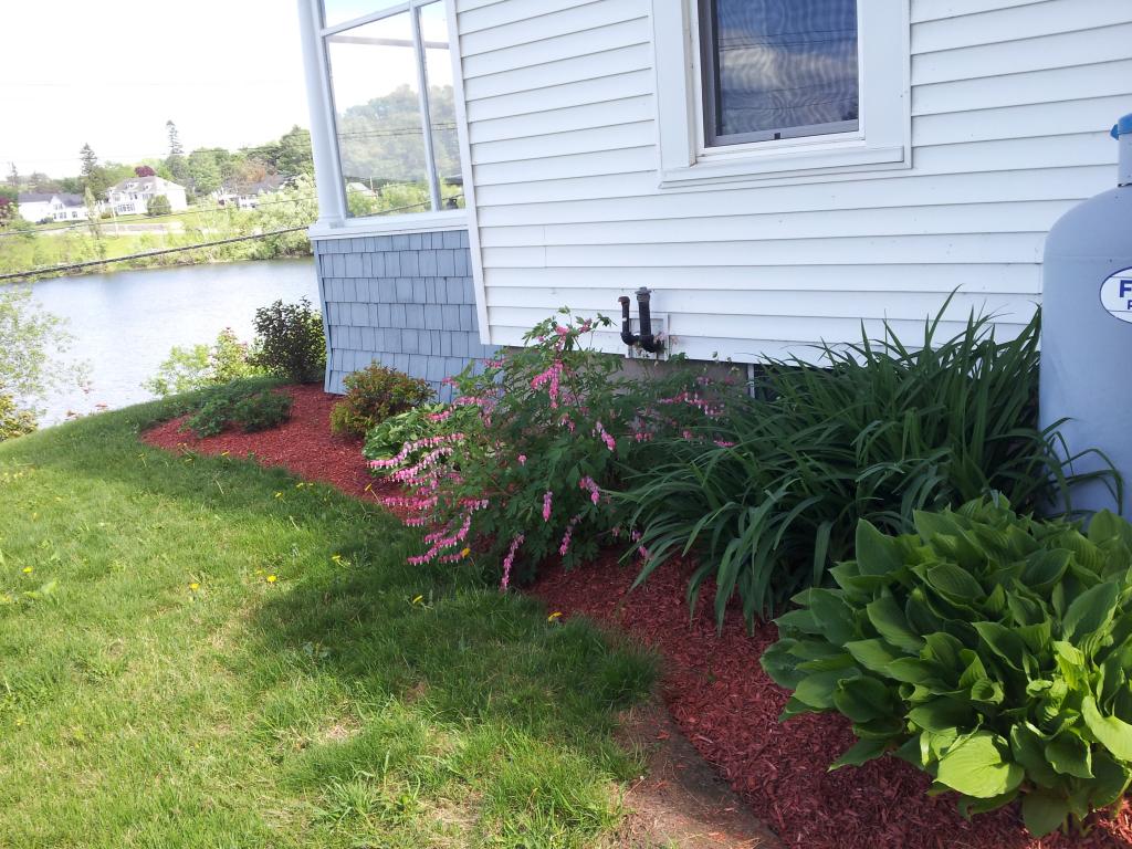 173 Lake Road Newport, VT 05855 - Photo 3 of 40 Gallery Image 3