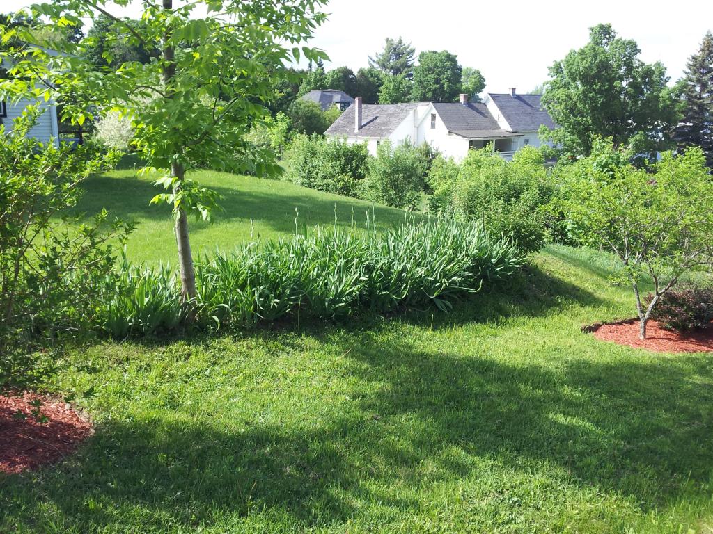 173 Lake Road Newport, VT 05855 - Photo 8 of 40 Gallery Image 8