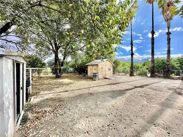 a view of a yard with plants and trees