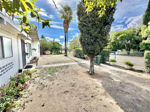 a view of a yard with plants tree