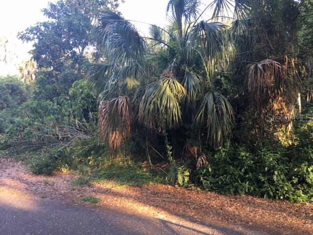 Bard Road Venice, FL 34293 - Photo 1 of 1