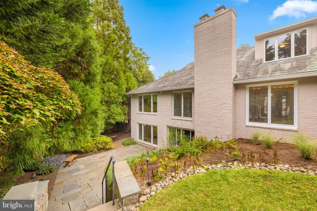 a view of a yard with plants and trees