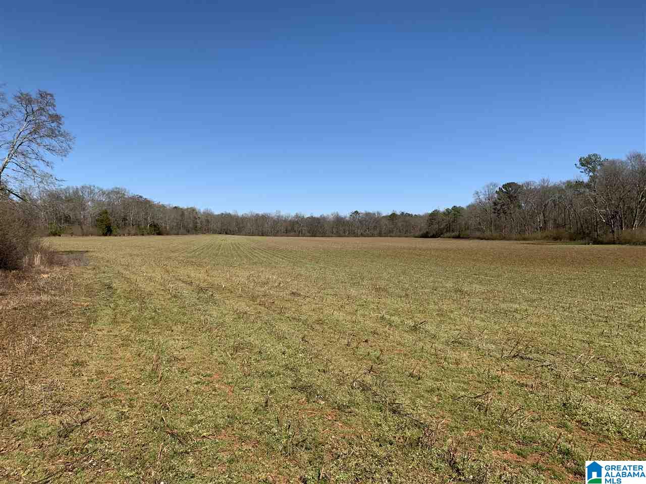 201 Barclay Road, Unit 115 AC Talladega, AL 35160 - Photo 20 of 30