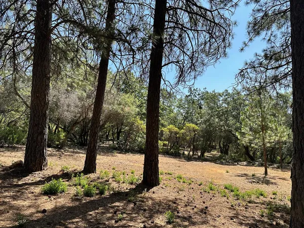 $600,000 | 1855 East Summit View Dr Meadow Vista, Meadow Vista, CA 95722