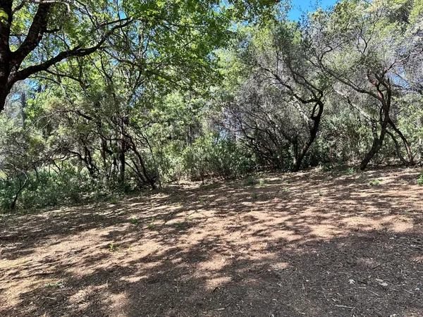 $600,000 | 1855 East Summit View Dr Meadow Vista, Meadow Vista, CA 95722