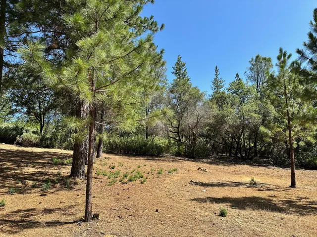 $600,000 | 1855 East Summit View Dr Meadow Vista, Meadow Vista, CA 95722