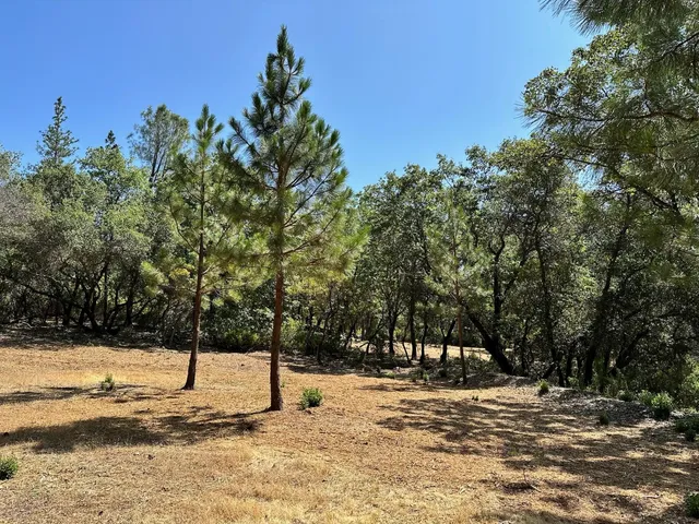 $600,000 | 1855 East Summit View Dr Meadow Vista, Meadow Vista, CA 95722