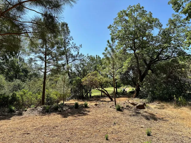 $600,000 | 1855 East Summit View Dr Meadow Vista, Meadow Vista, CA 95722