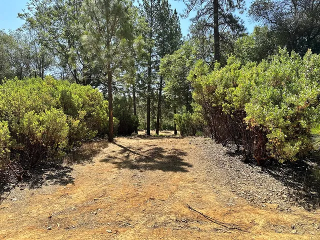$600,000 | 1855 East Summit View Dr Meadow Vista, Meadow Vista, CA 95722