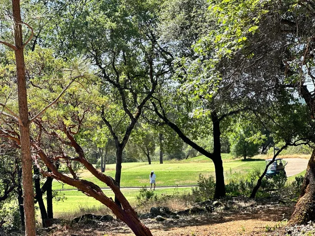 $600,000 | 1855 East Summit View Dr Meadow Vista, Meadow Vista, CA 95722