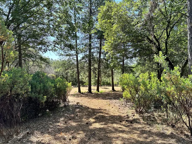 $600,000 | 1855 East Summit View Dr Meadow Vista, Meadow Vista, CA 95722