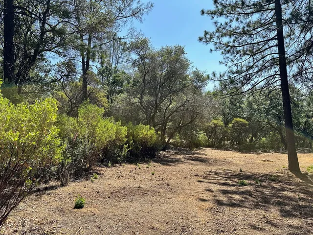 $600,000 | 1855 East Summit View Dr Meadow Vista, Meadow Vista, CA 95722