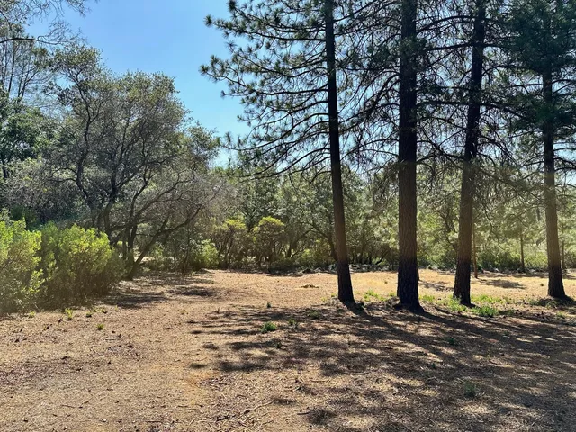 $600,000 | 1855 East Summit View Dr Meadow Vista, Meadow Vista, CA 95722