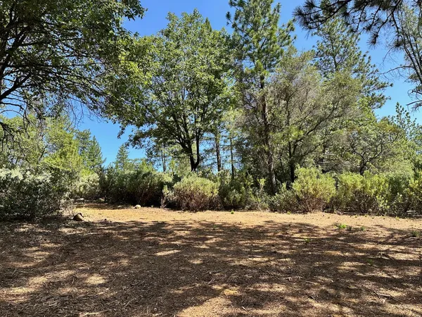 $600,000 | 1855 East Summit View Dr Meadow Vista, Meadow Vista, CA 95722