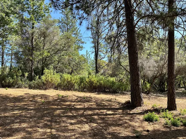 $600,000 | 1855 East Summit View Dr Meadow Vista, Meadow Vista, CA 95722