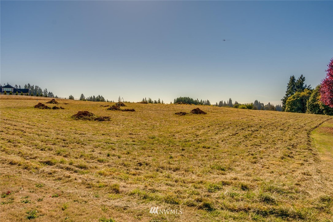 19305 Northwest 67th Avenue Ridgefield, WA 98642 - Photo 16 of 25