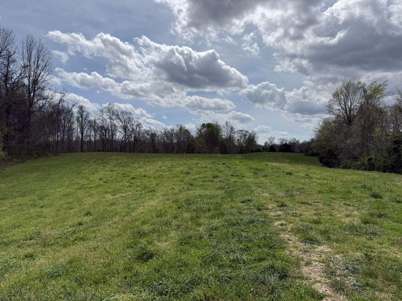 5483 Subtle Road Edmonton, KY 42129 - Photo 4 of 23 Purvis.4