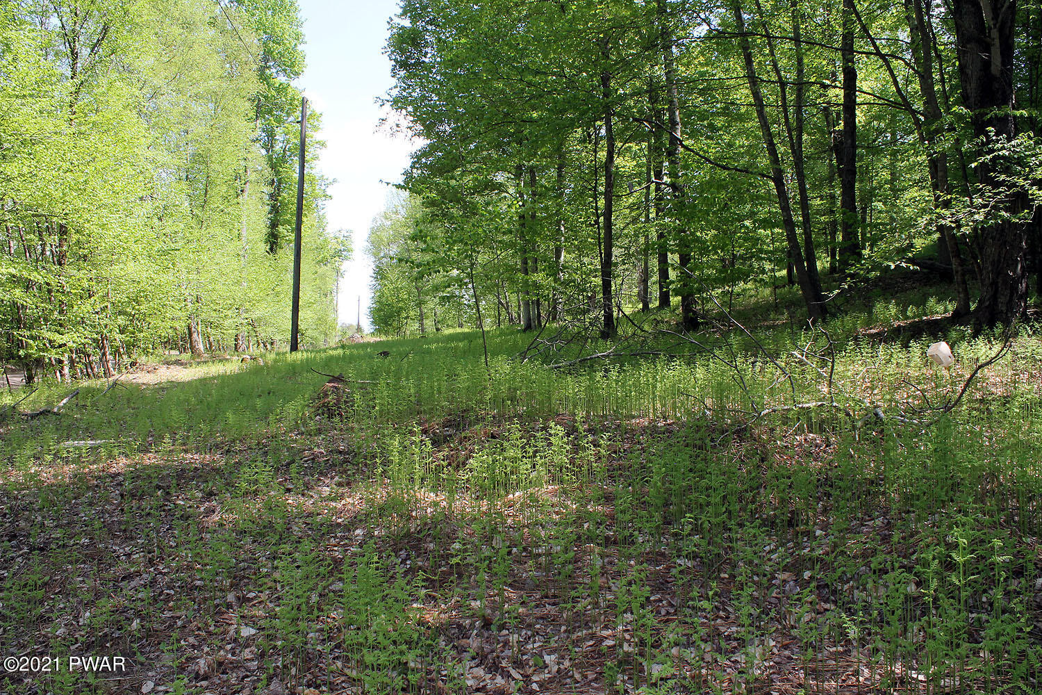 2 Robbs Road Damascus, PA 18415 - Photo 10 of 15