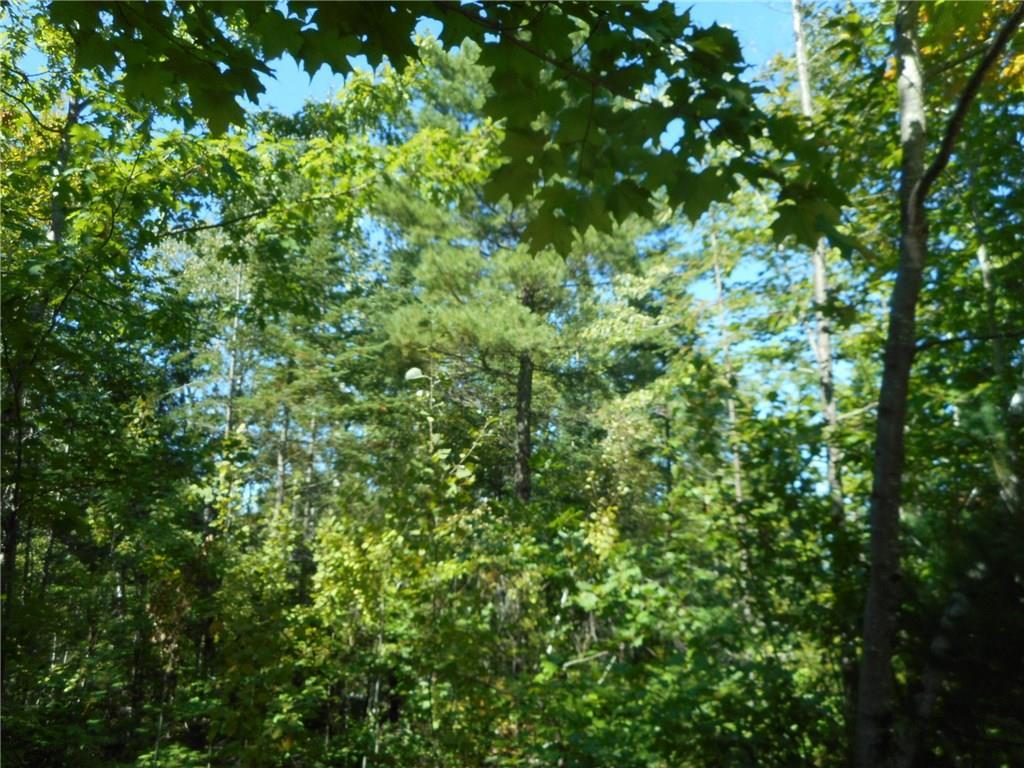 Lot 2 188th Route Lowell, ME 04493 - Photo 6 of 7 Photo