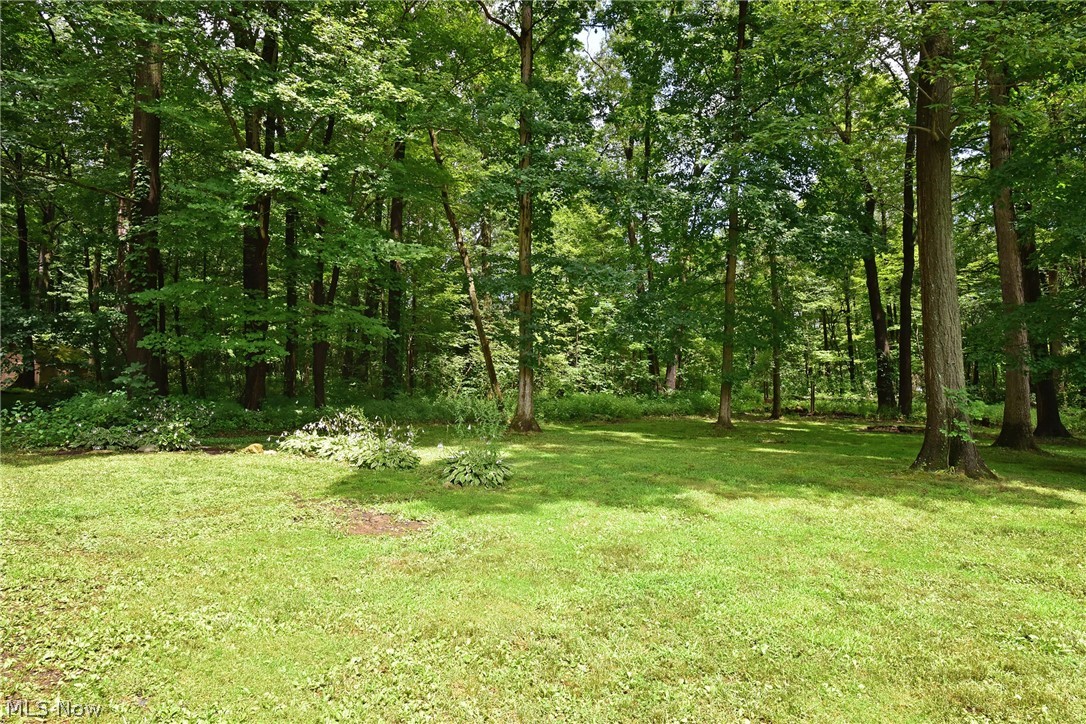 5775 Weaver Road New Franklin, OH 44319 - Photo 28 of 29