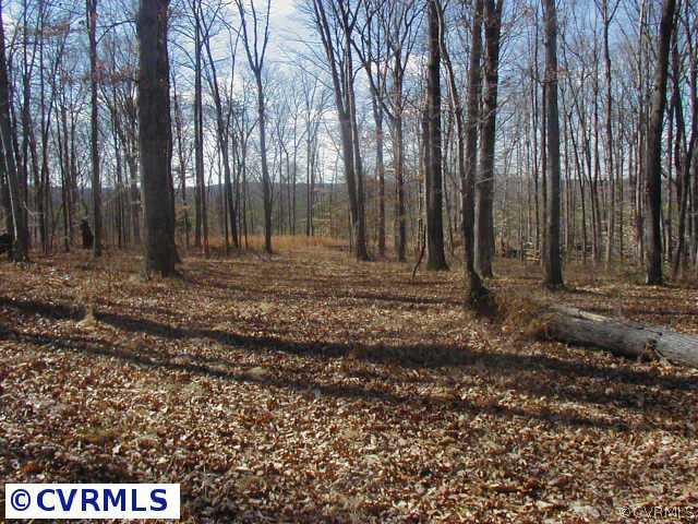 1170 Deep Run Road Cartersville, VA 23027 - Photo 3 of 3 Other