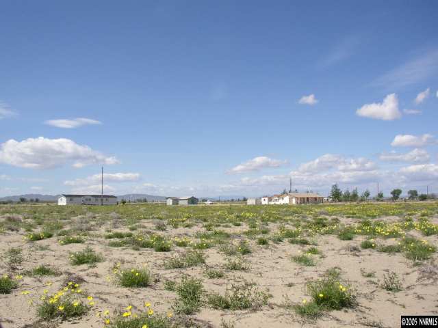 6135 Jacobs Road Fallon, NV 89406 - Photo 1 of 9 a view of a city