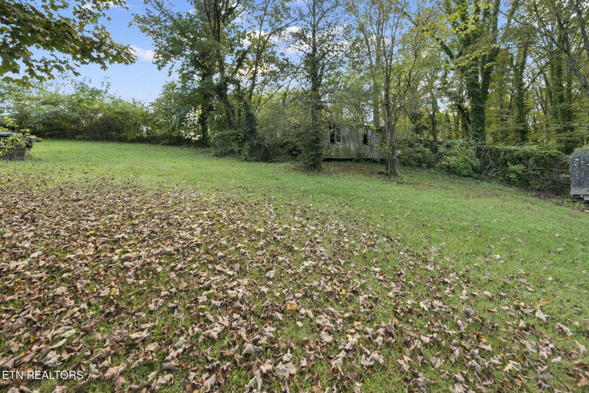 711 Sharp Street Clinton, TN 37716 - Photo 27 of 31 27-web-or-mls-Sharp711 (16)
