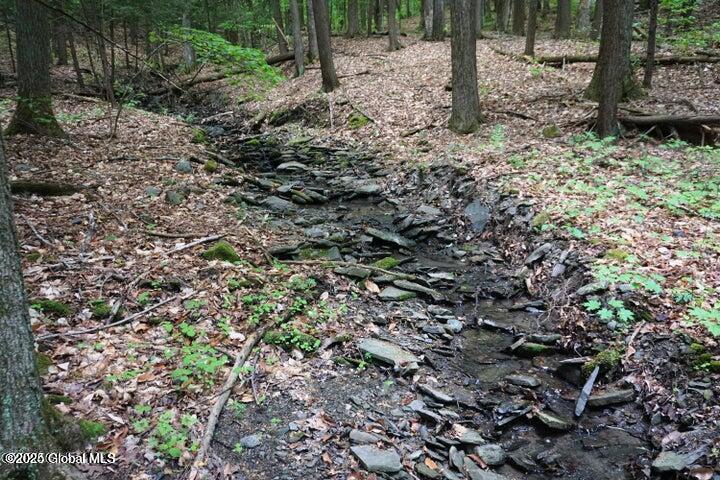 L26 West Fulton Road Warnerville, NY 12187 - Photo 8 of 15 W Fulton pic 12