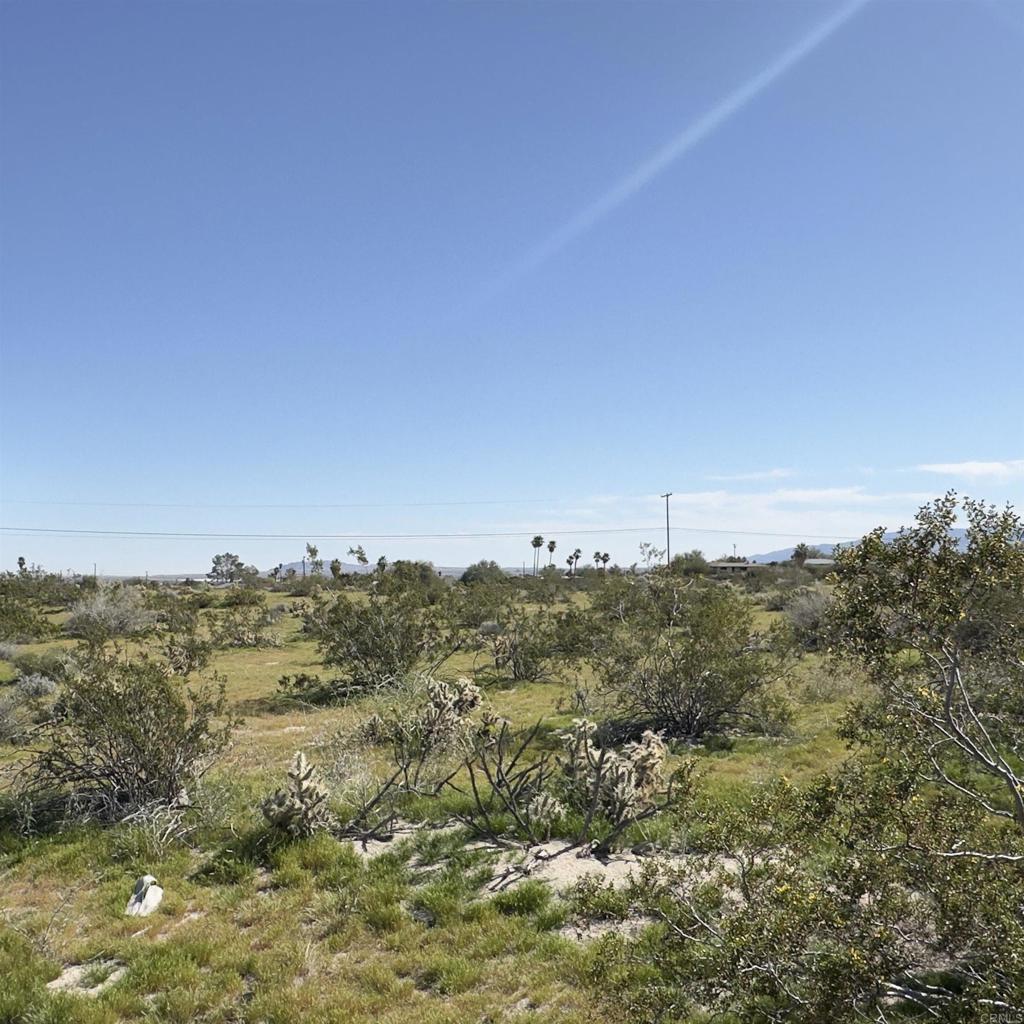 East East Star Road Borrego Springs, CA 92004 - Photo 6 of 6 a view of ocean and trees