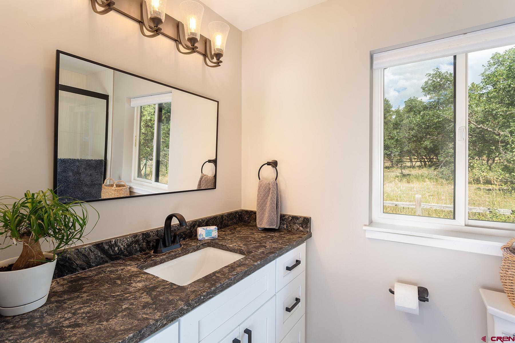 436 The Eagle Pass Durango, CO 81301 - Photo 20 of 29 a bathroom with a granite countertop sink a large mirror and a window