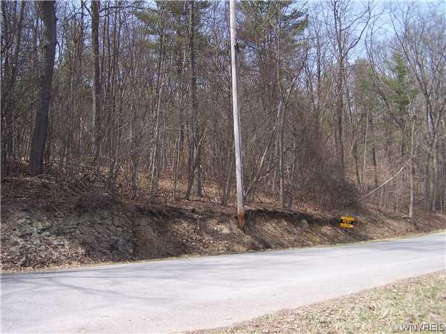 10450 Geiger Road North Dansville, NY 14437 - Photo 1 of 1 Land