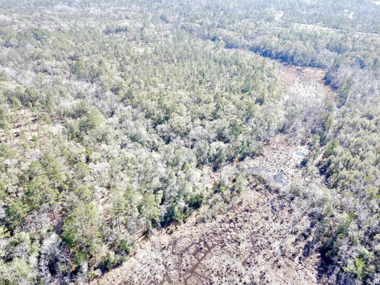 0 Dixon Road Bay Minette, AL 36507 - Photo 7 of 50